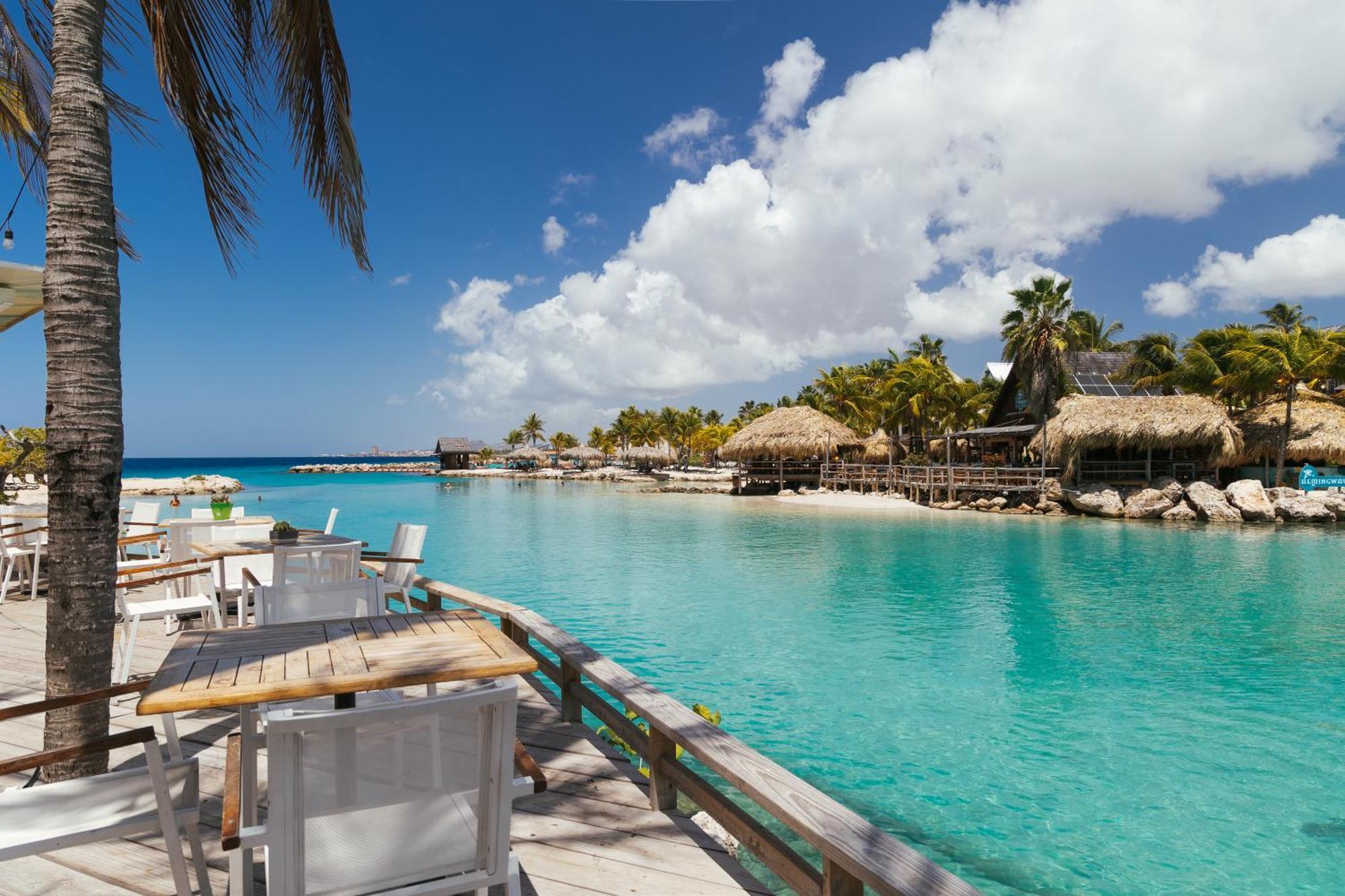 The Royal Sea Aquarium Resort Willemstad Kültér fotó